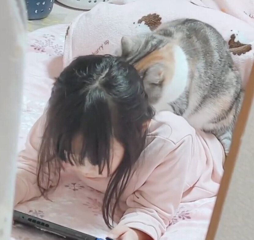 娘さんにスリスリするシャロンちゃん