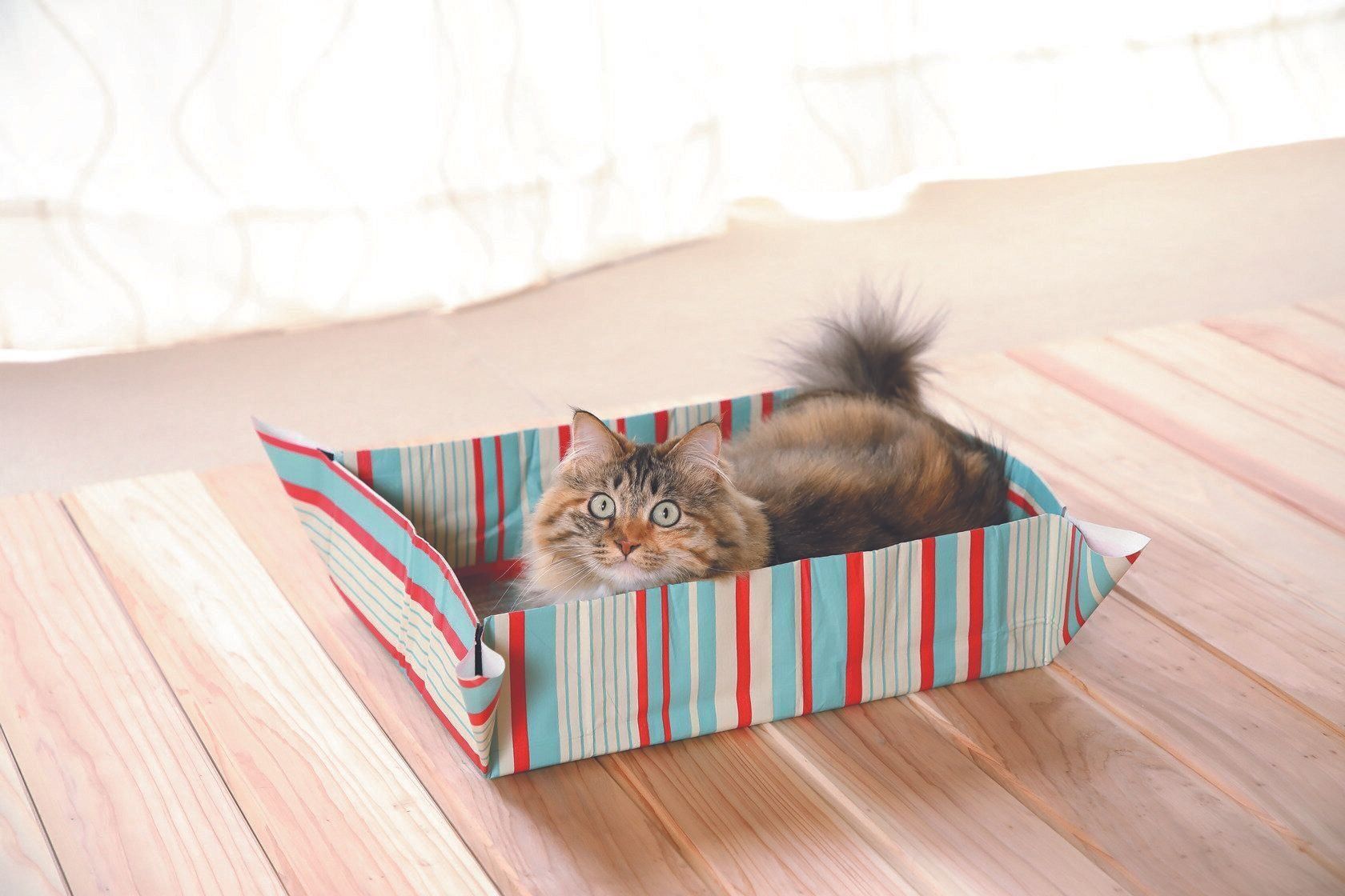 撮影／尾﨑たまき