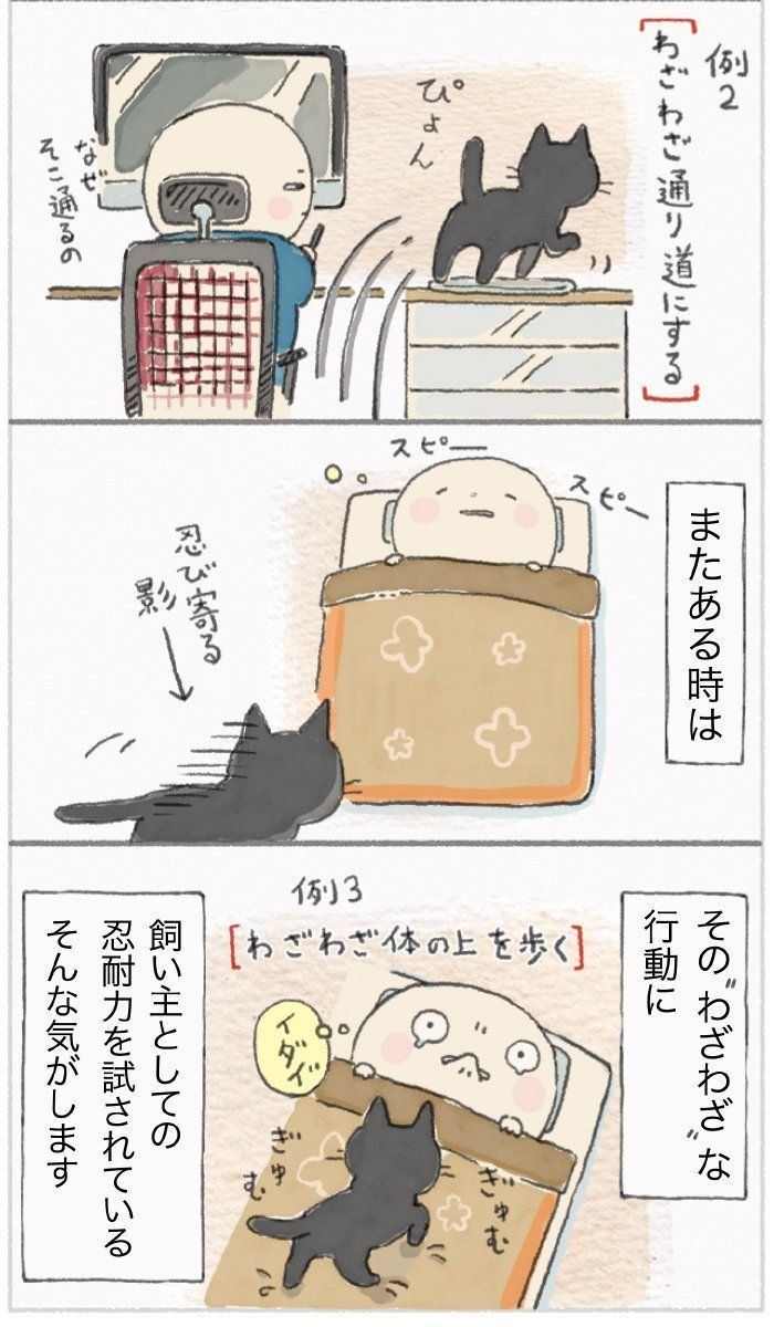 「ねこ連れ草」53話め