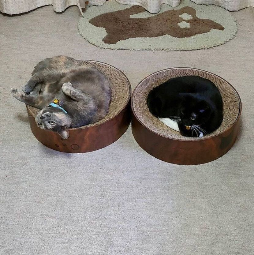 ＠noa3850さんの爪とぎ