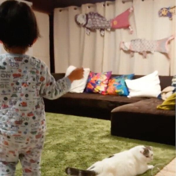 くつろぐライくんと、ふらふら歩いてくる次男くん