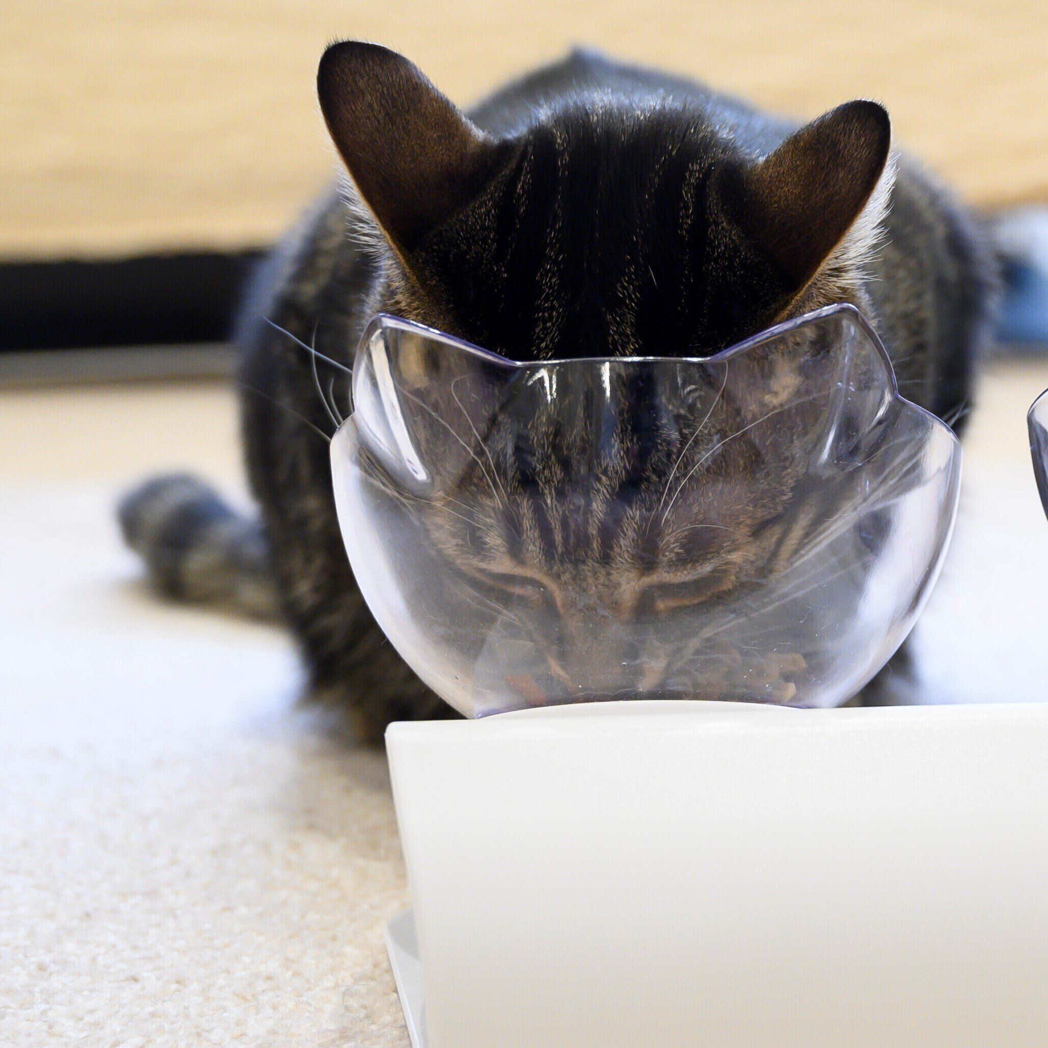 撮影／中川文作