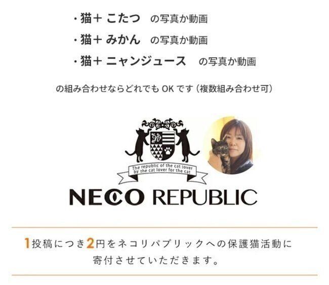 ネコリパブリックへの支援