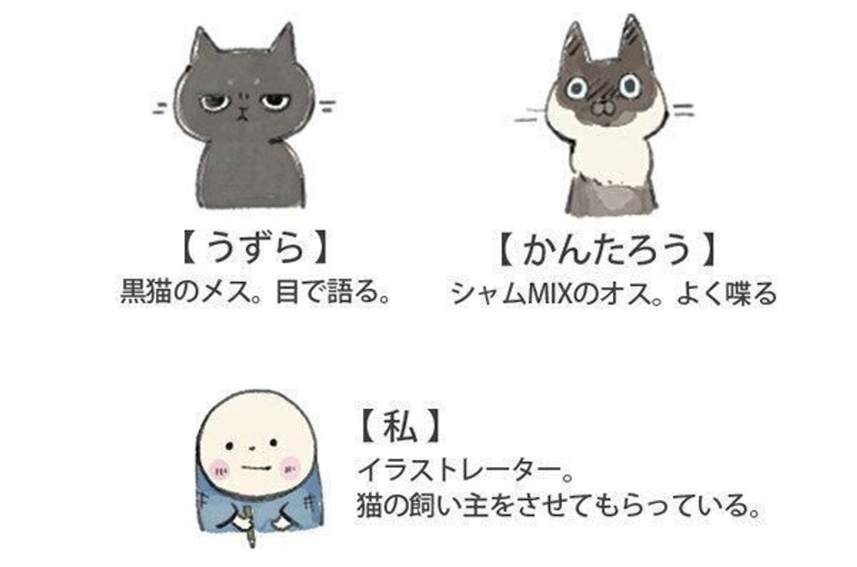 夏の廊下に突如現る物体 涼しさを求める姿はユーモアいっぱい 連載 ねこ連れ草 240話め ねこのきもちweb Magazine 夏の廊下に突如現る物体 涼しさを求める姿はユーモアいっぱい 連載 ねこ連れ草 240話め ねこのきもちweb Magazine