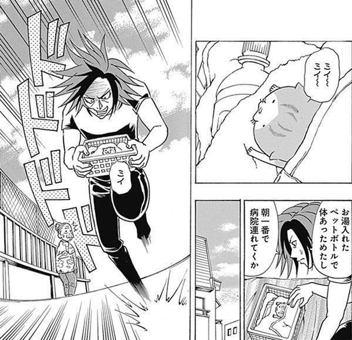 子猫を保護 V系バンドマンが緊急事態にとった行動とは 育 子猫 奮闘記 2 ねこのきもちweb Magazine 子猫を保護 V系バンドマンが緊急事態にとった行動とは 育 子猫 奮闘記 2 ねこのきもちweb Magazine