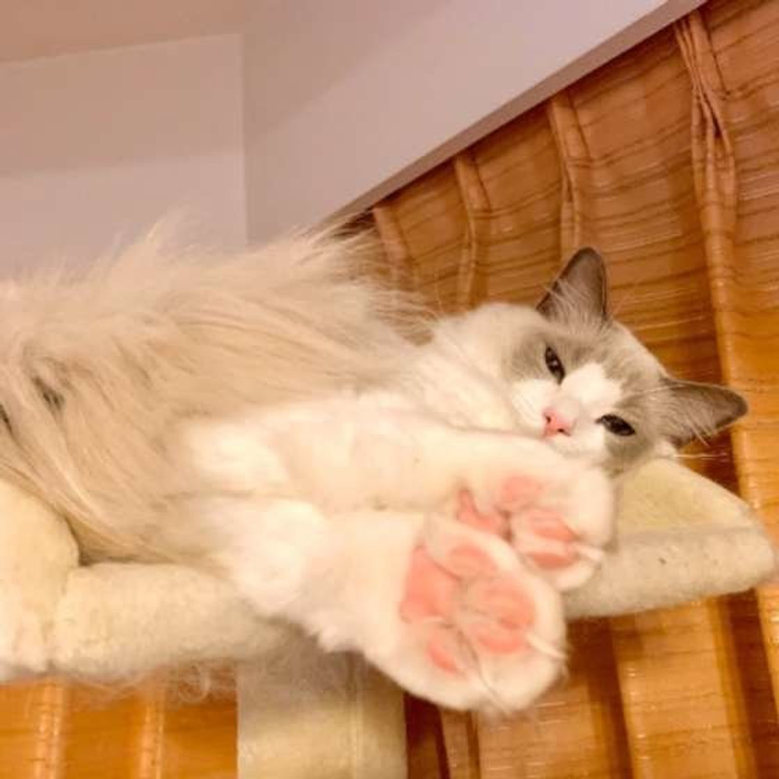 L9jke5oxw6gfum L9jke5oxw6gfum