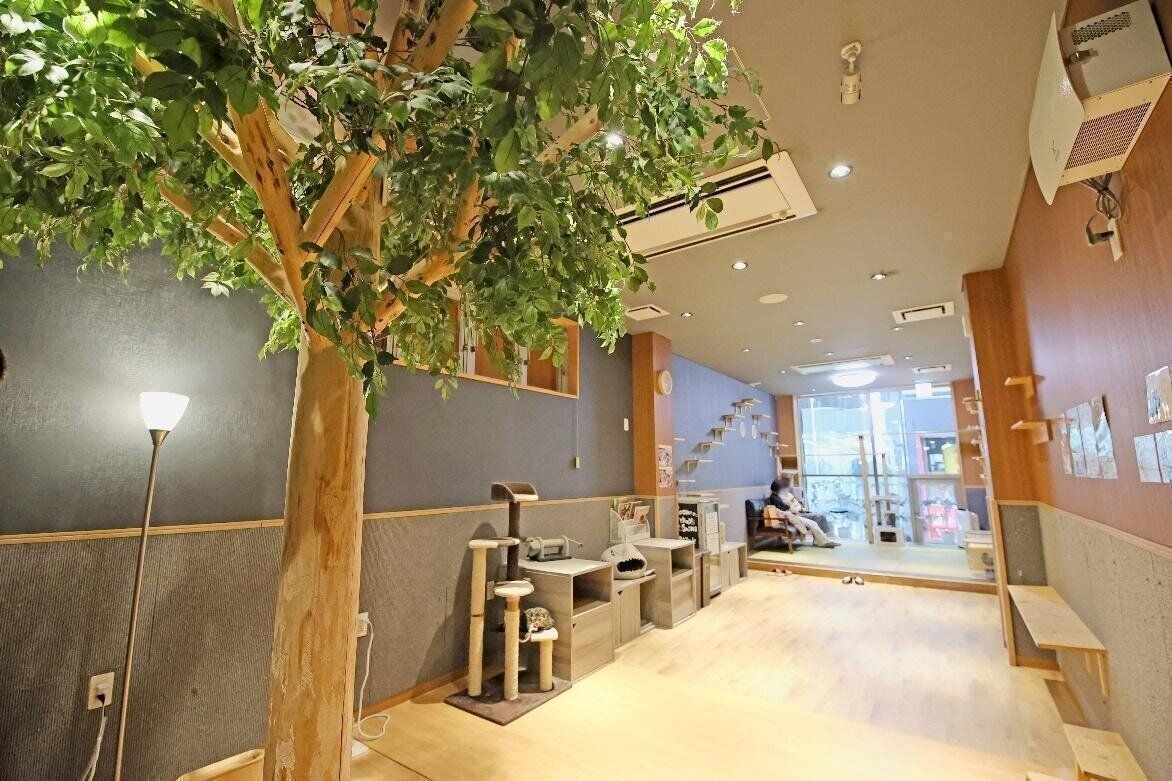 自然木を模したキャットタワー