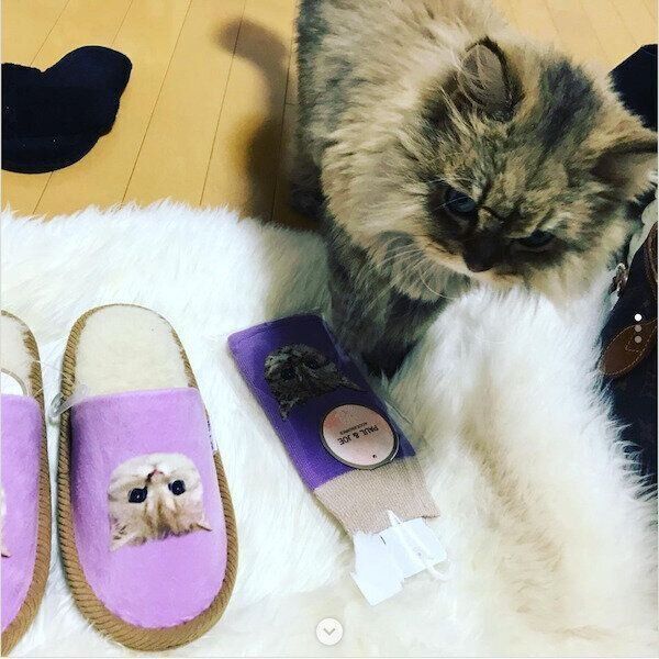 PAUL&JOEの冬アイテム