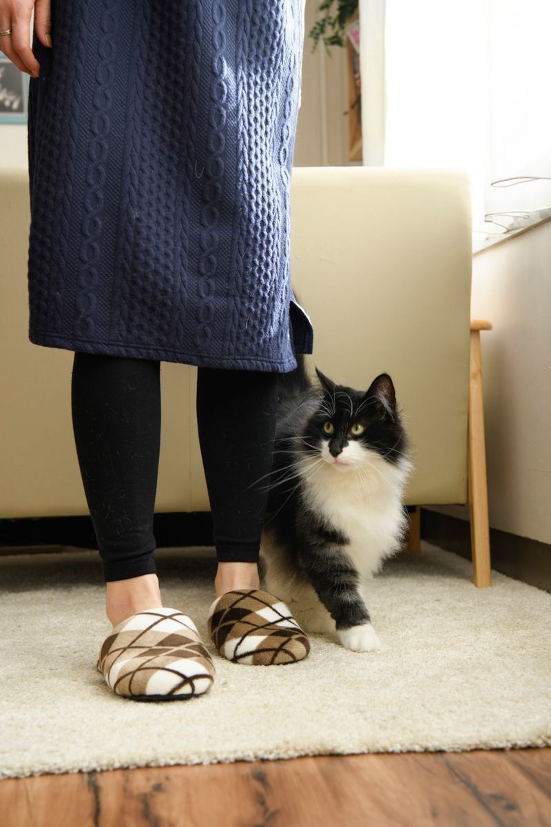 撮影／Akimasa Harada