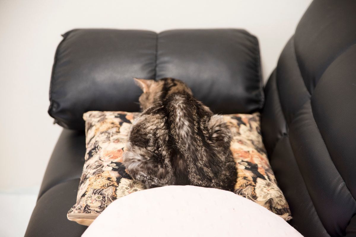 撮影／中川文作