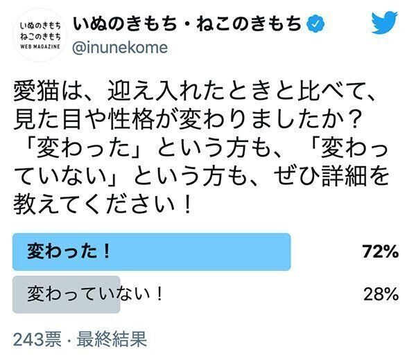 いぬ・ねこのきもち公式Twitterアンケート