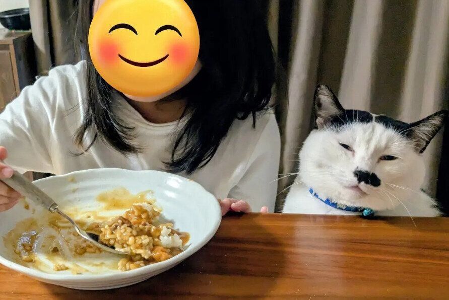飼い主の家族の側に座る猫