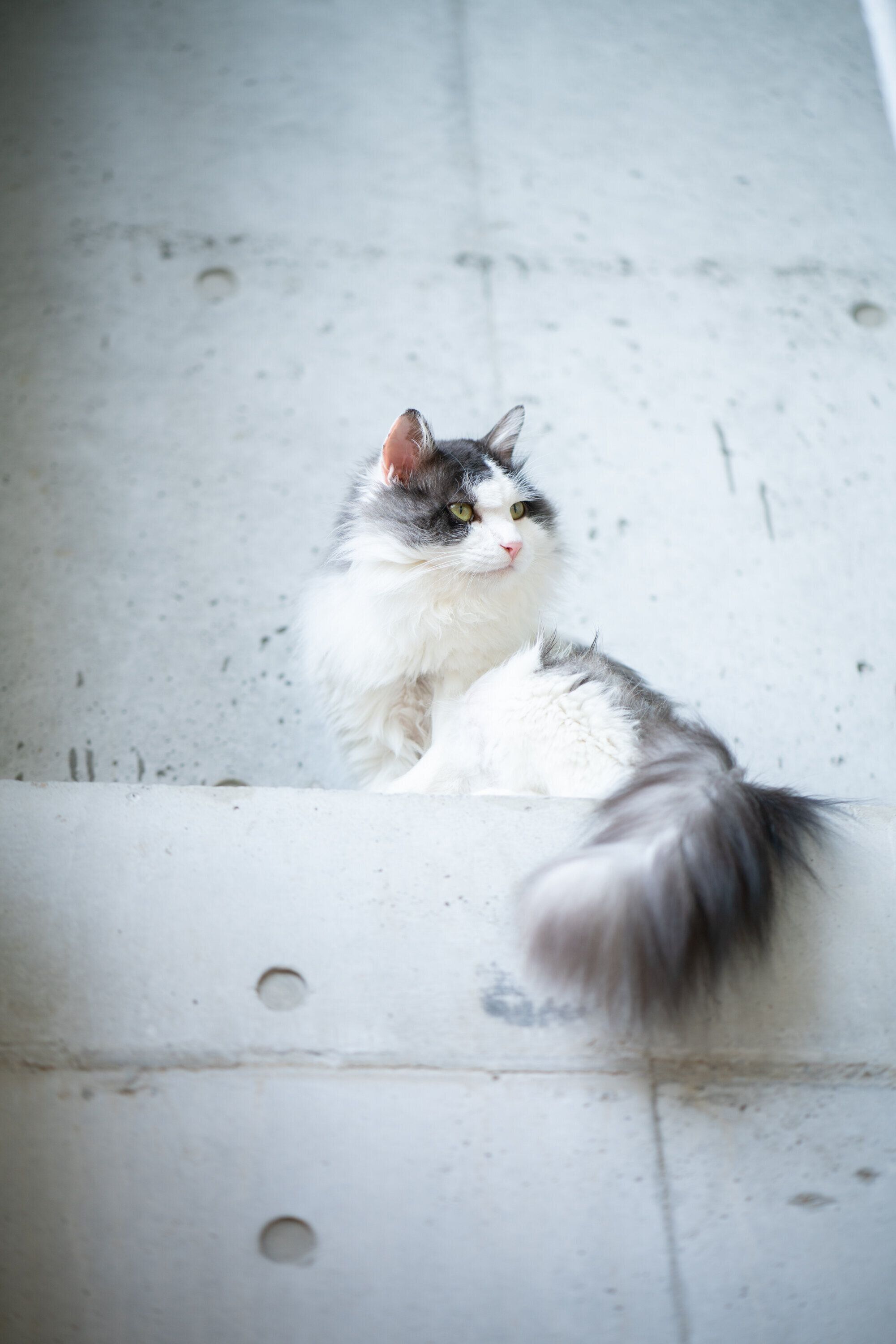 撮影／石原さくら