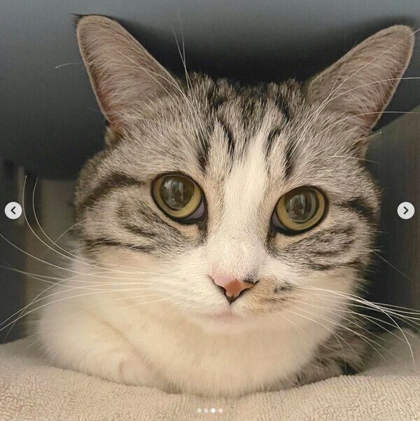 見つめるふにちゃん