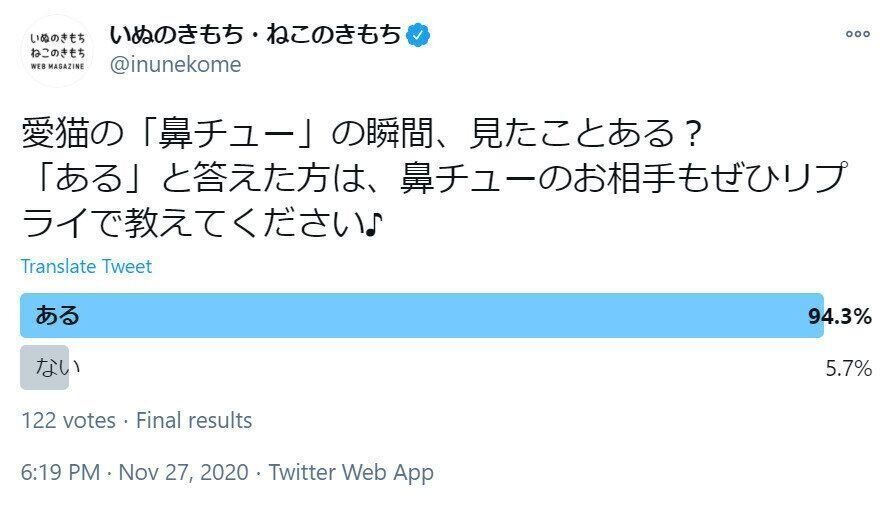 鼻チューアンケートの結果