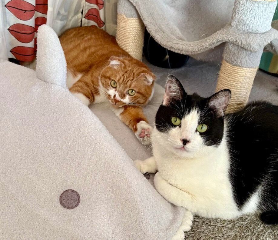 仲良しなポポちゃん、ぺぺくん