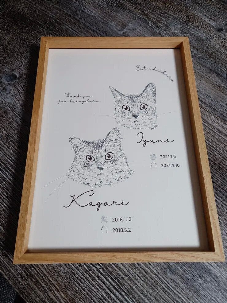 猫ストックイラスト