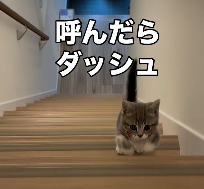真剣な表情がかわいすぎる