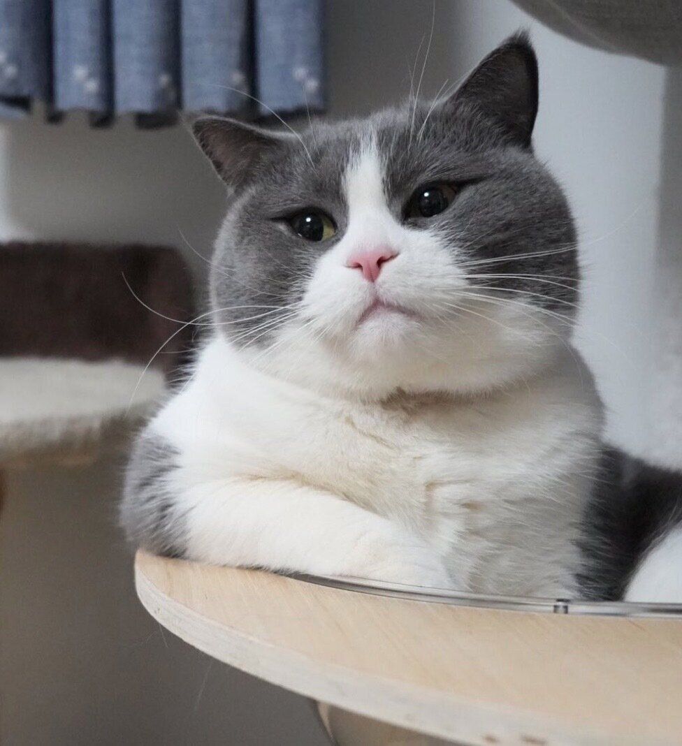 くつろぐまるくん