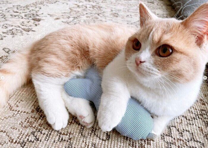 けりぐるみを抱えるみりんちゃん