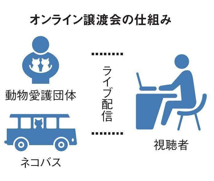 画像／2021年2月号「猫のために何ができるのだろうか」