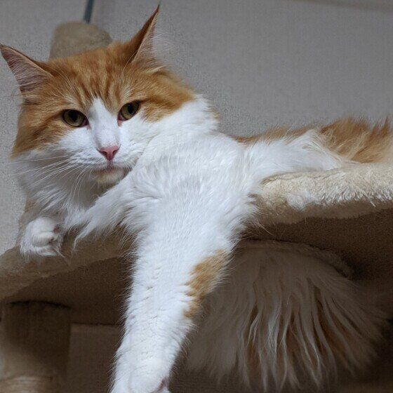 めいんソルくん