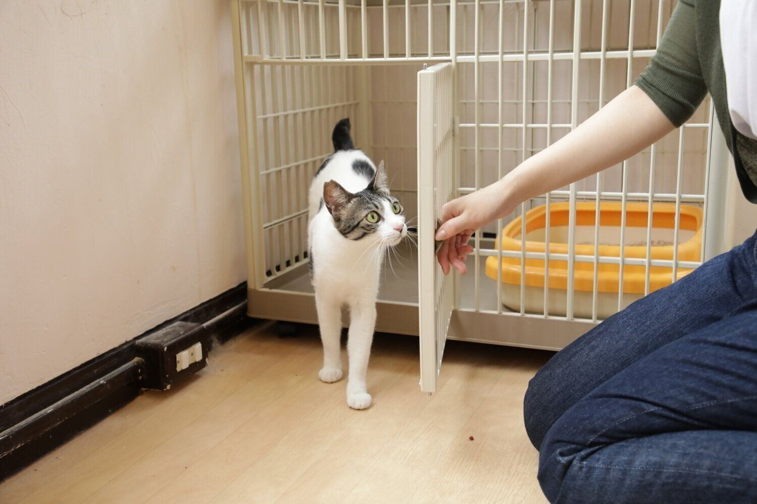 撮影／尾﨑たまき