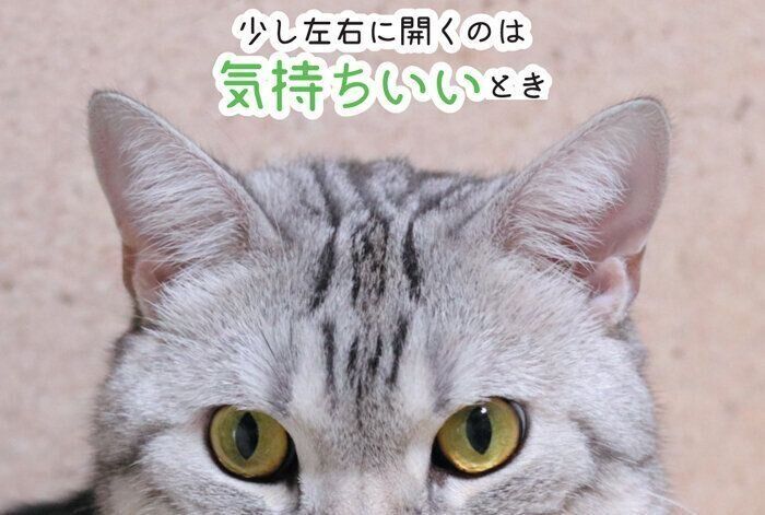 気持ちがいいときの耳の形