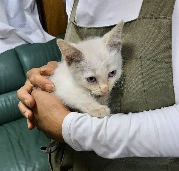 抱っこされるミレットちゃん