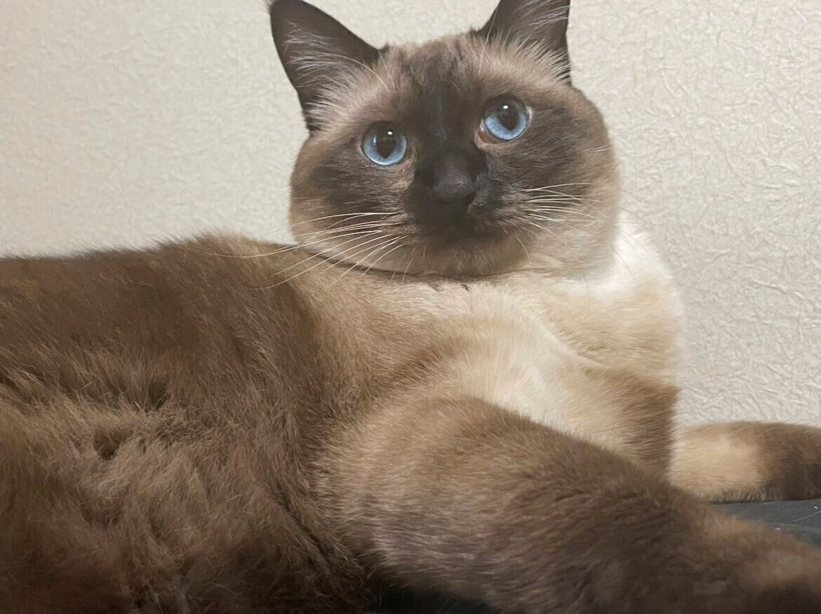 愛くるしい表情のこじろーくん