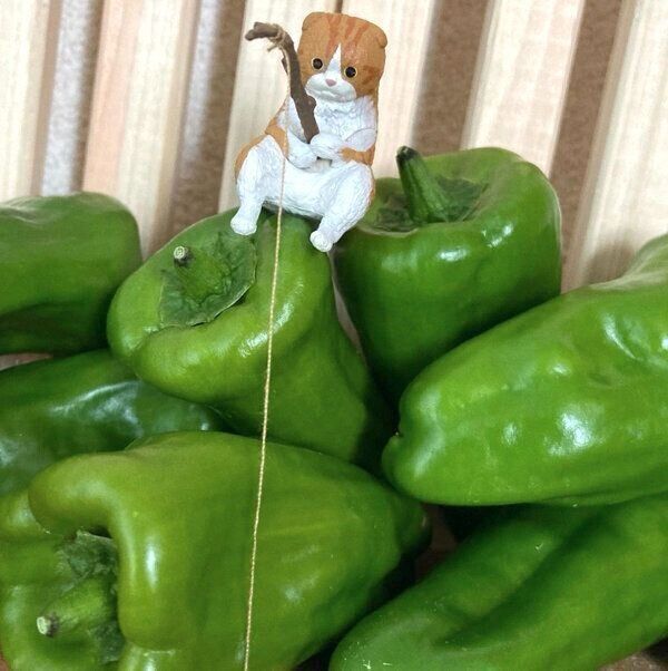 カプセルトイ「釣り日和～猫たちのひまつぶし～」