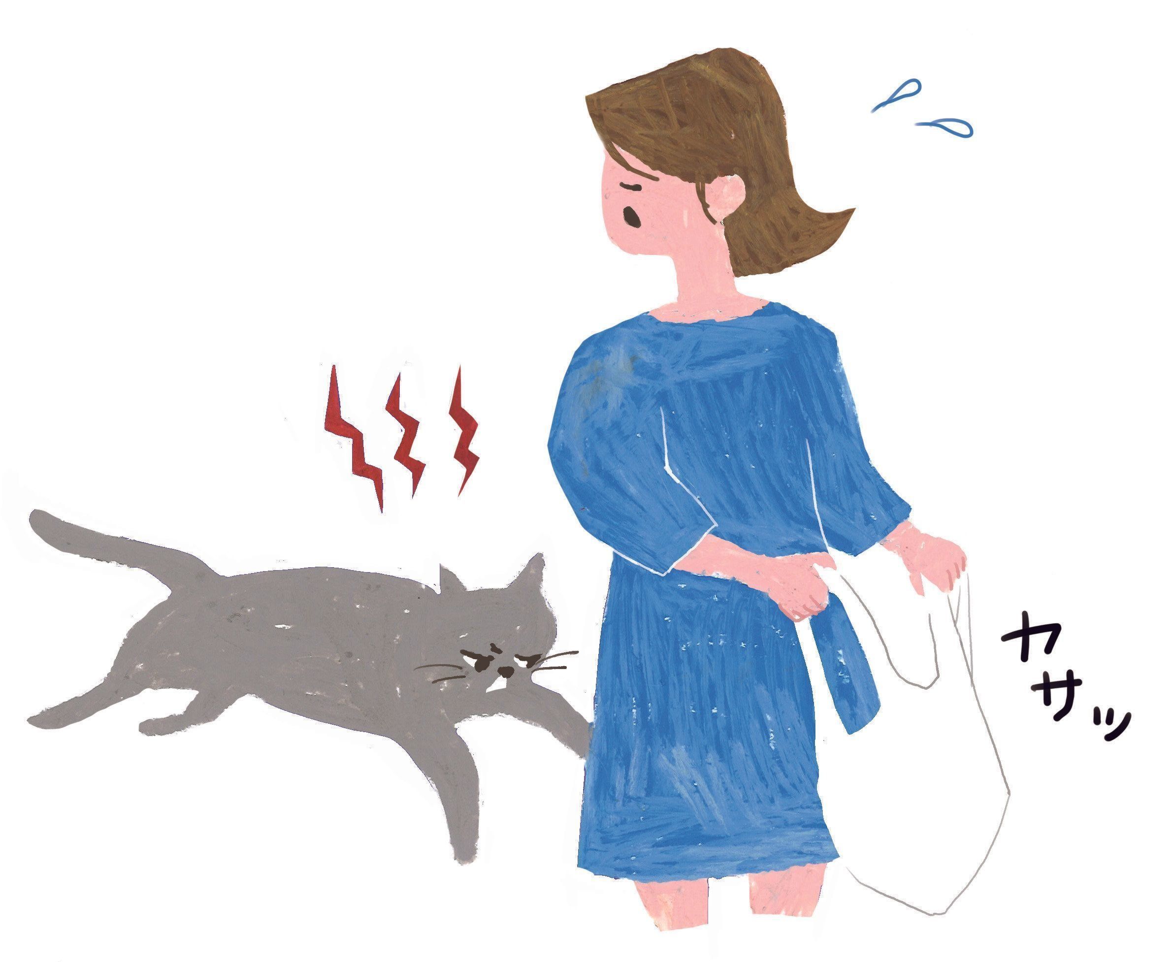 イラスト／mollydomon