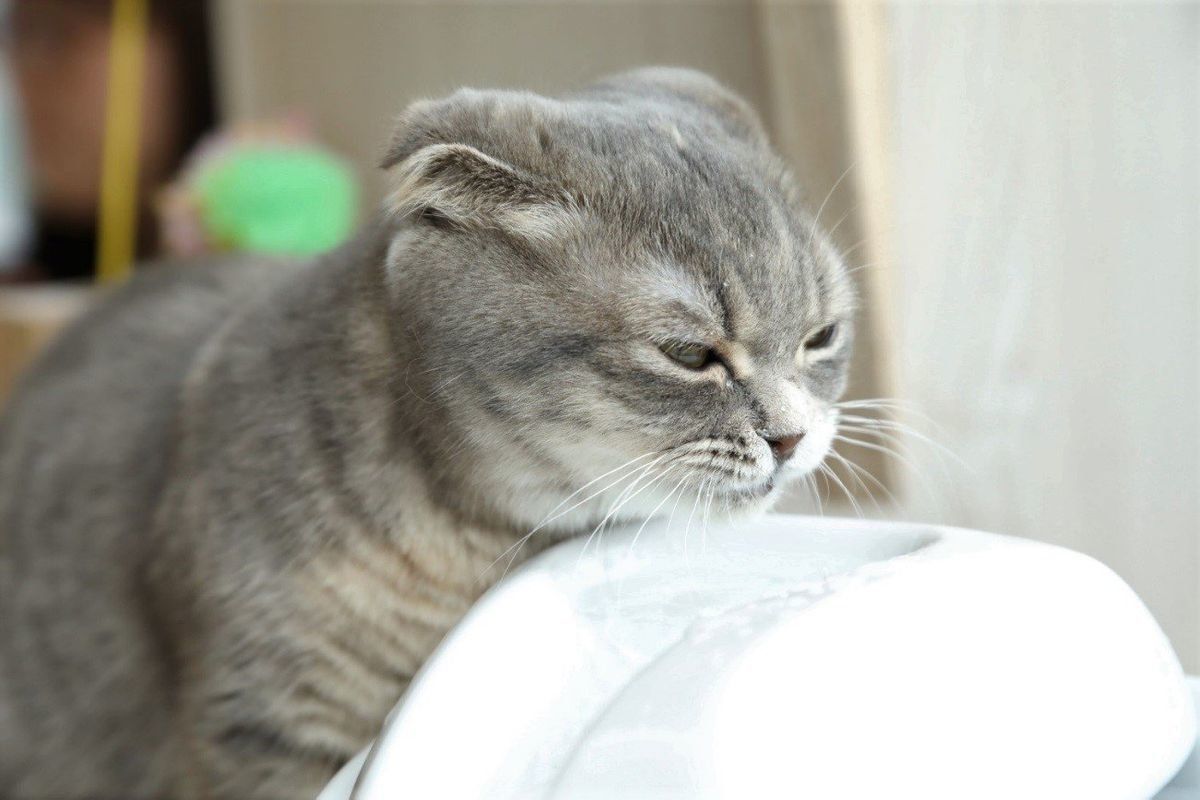 撮影／尾﨑たまき