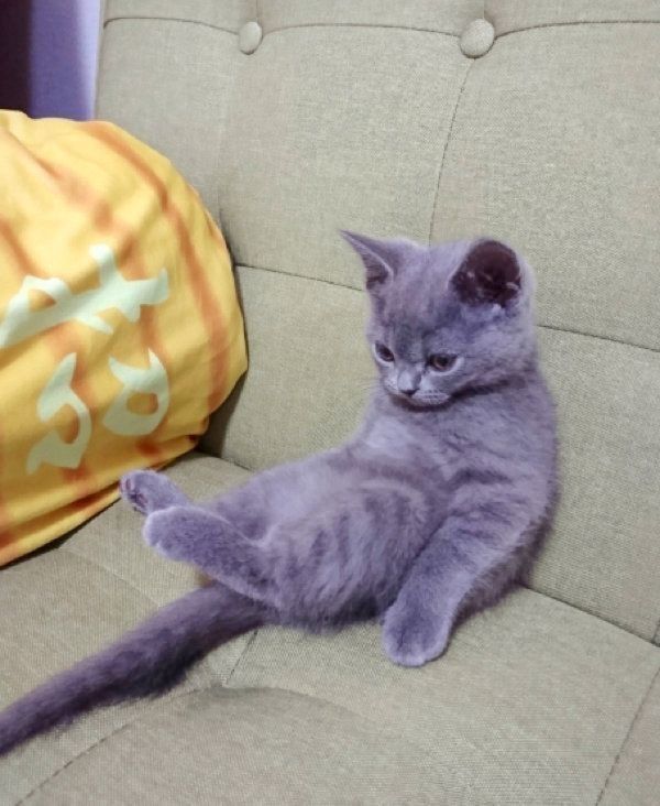 くつろぐ光太郎くん