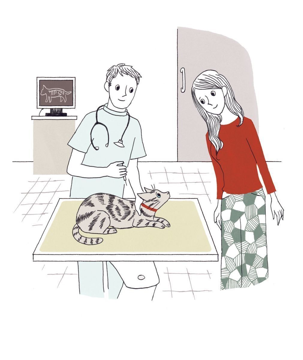 イラスト／大塚砂織