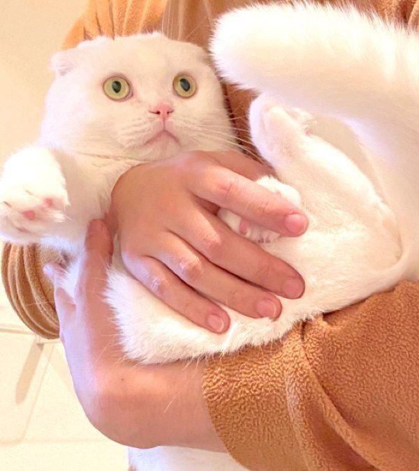 ものすごい目ヂカラで訴えかけるむくちゃん