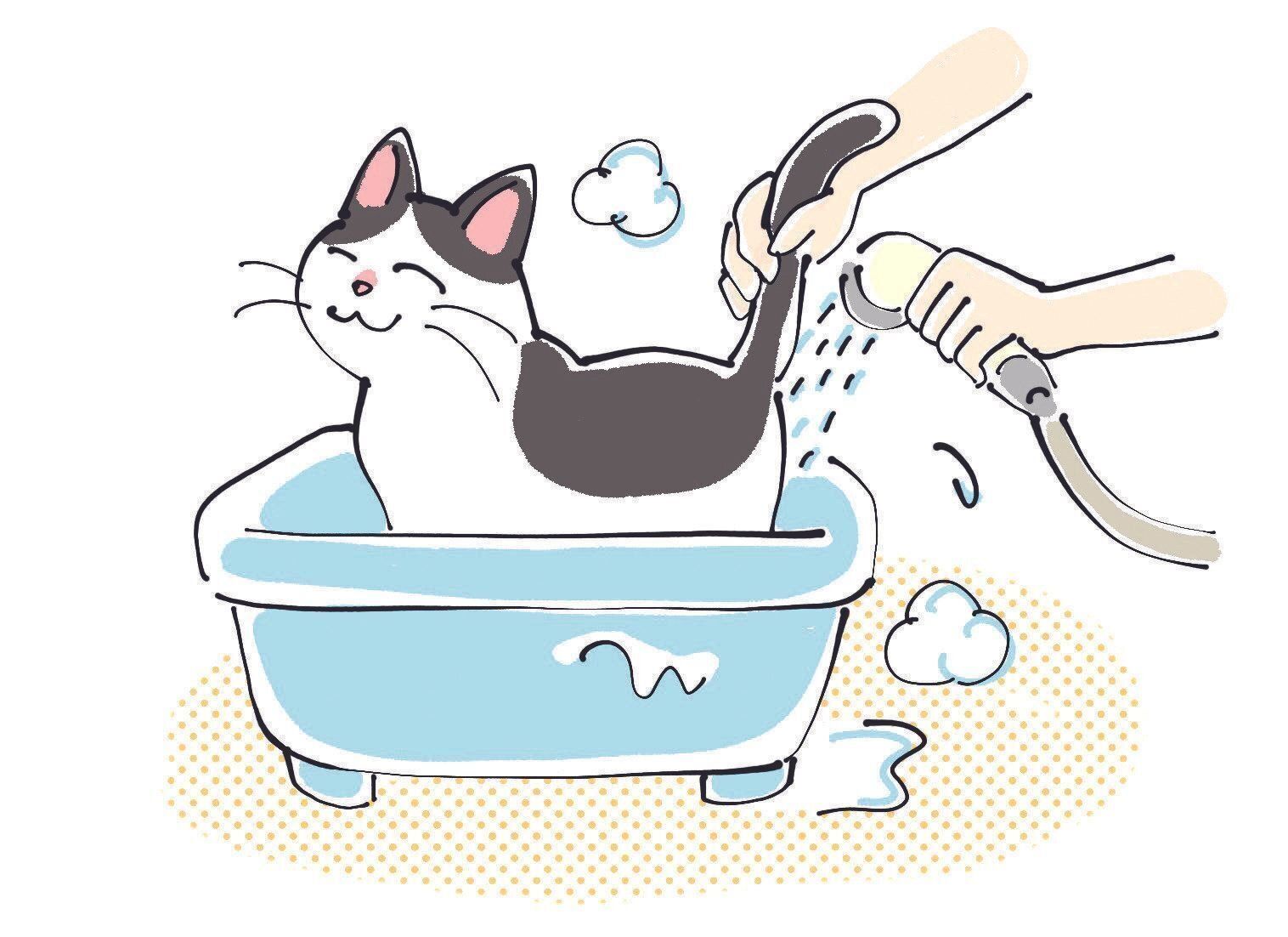 イラスト／はなさきロージー