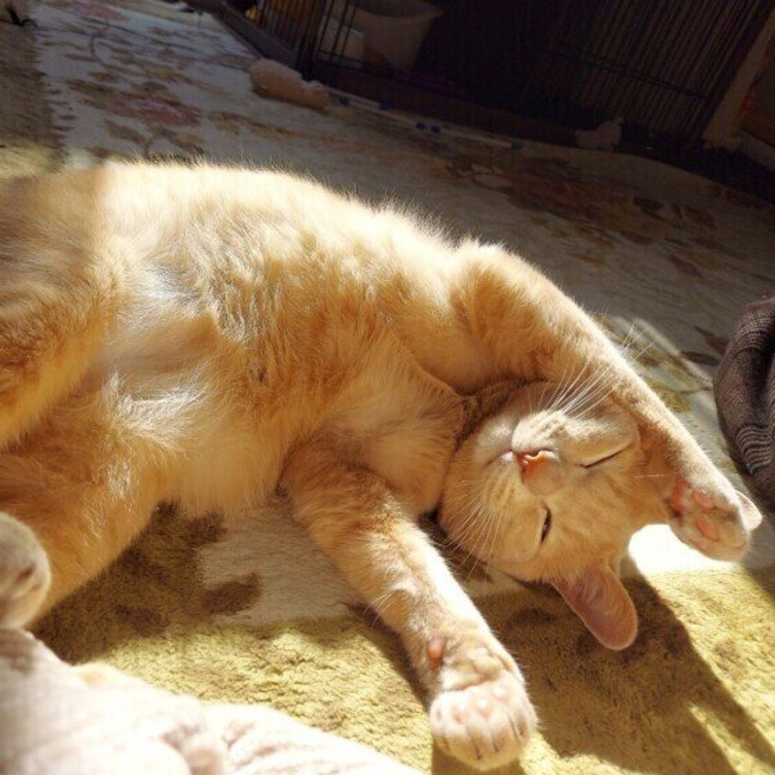 6c0lknnplfcbvm 6c0lknnplfcbvm