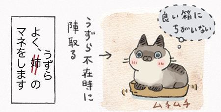 「ねこ連れ草」サムネイル
