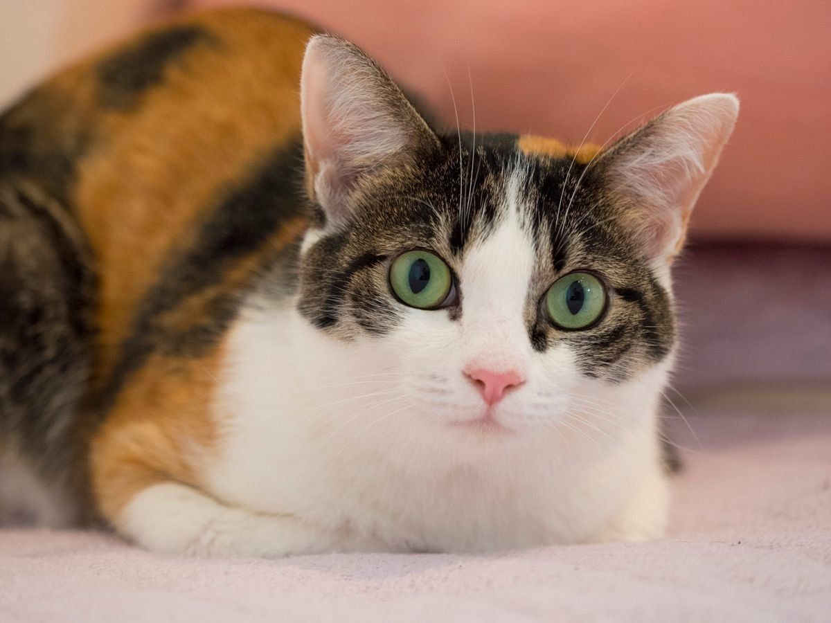 撮影／小森正孝