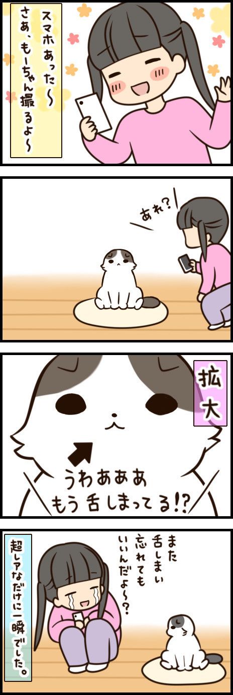 「もふもふスコたん」46話目