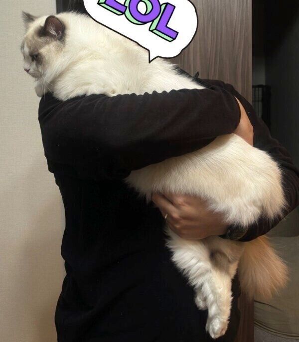 抱っこされるカニちゃん