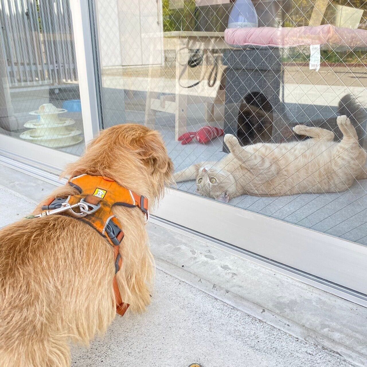 写真提供／神戸市環境衛生課