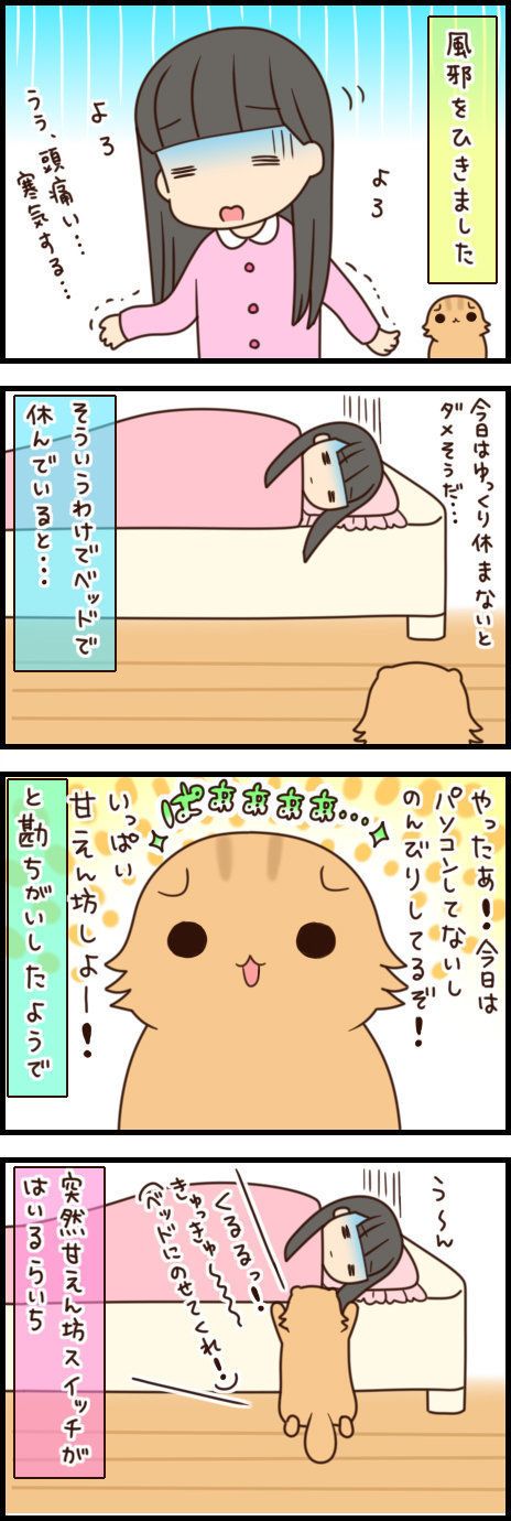もふもふスコたん 39話目