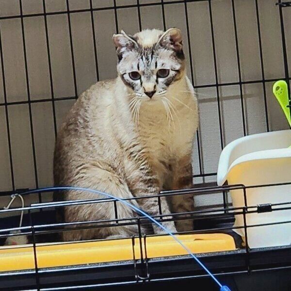 家に来たばかりの海空くん