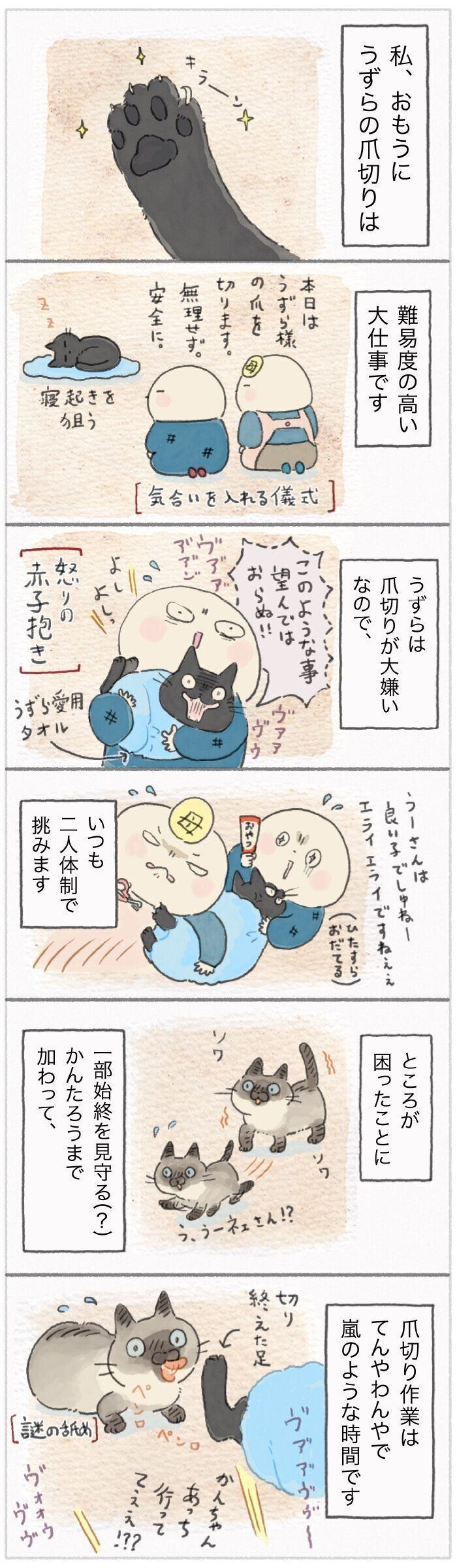 「ねこ連れ草」159話め
