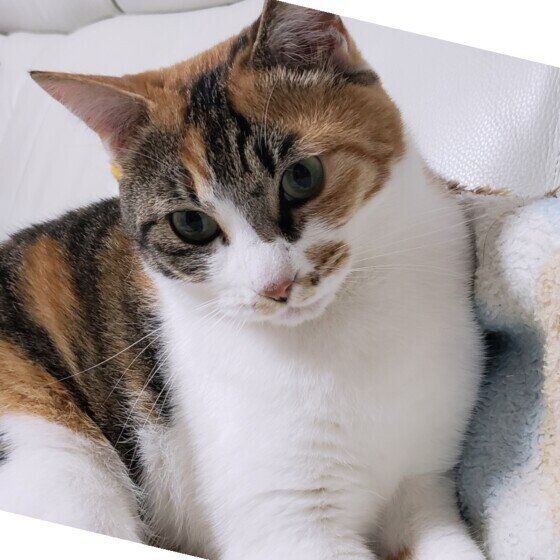 Mix（ミケ）のルビィちゃん♪