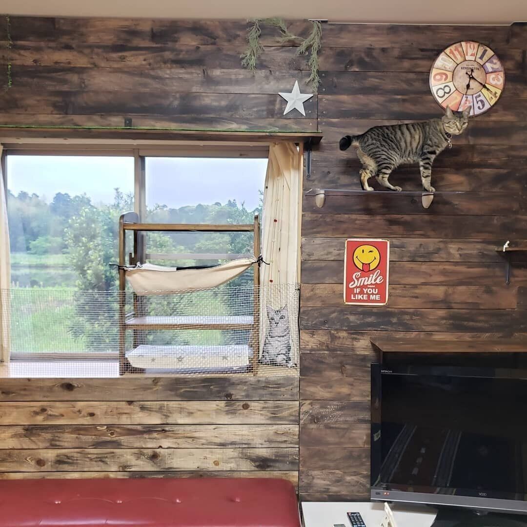 完成品と月ちゃん