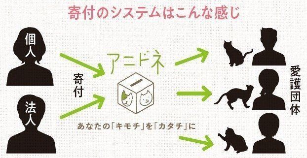 画像／2018年２月号「第83回　猫のために何ができるだろうか」