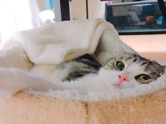 寒くなってきたね